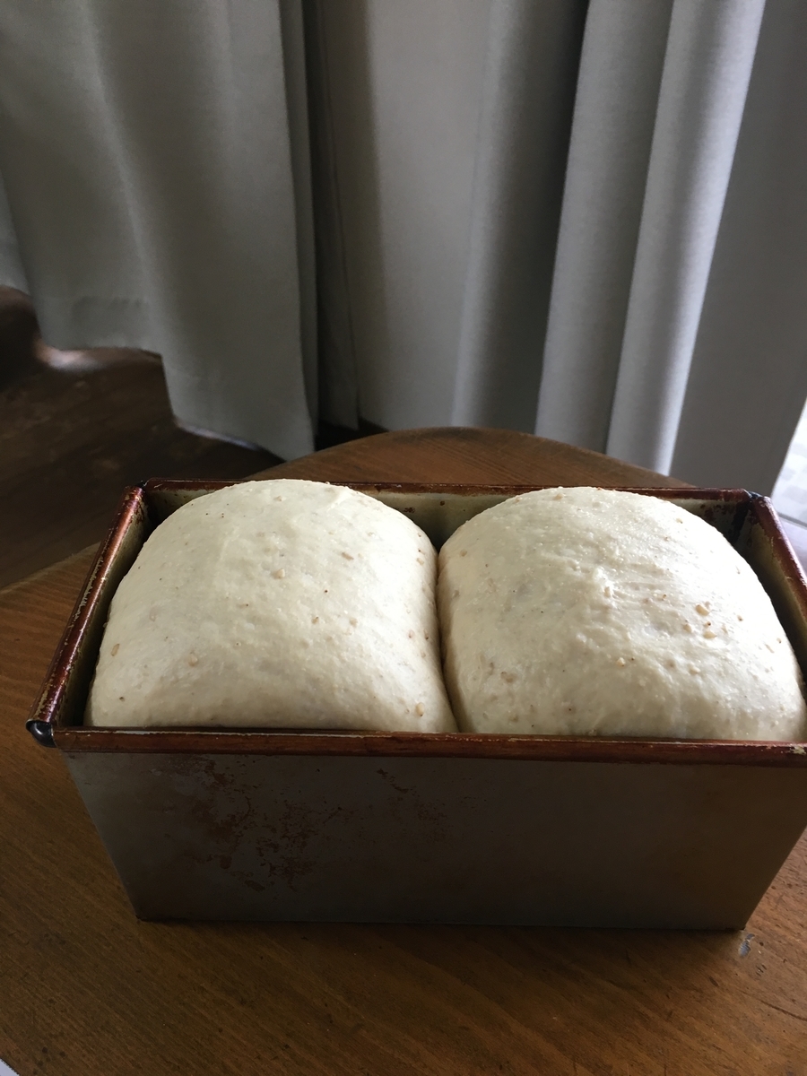f:id:tomatotopan:20190920183627j:plain