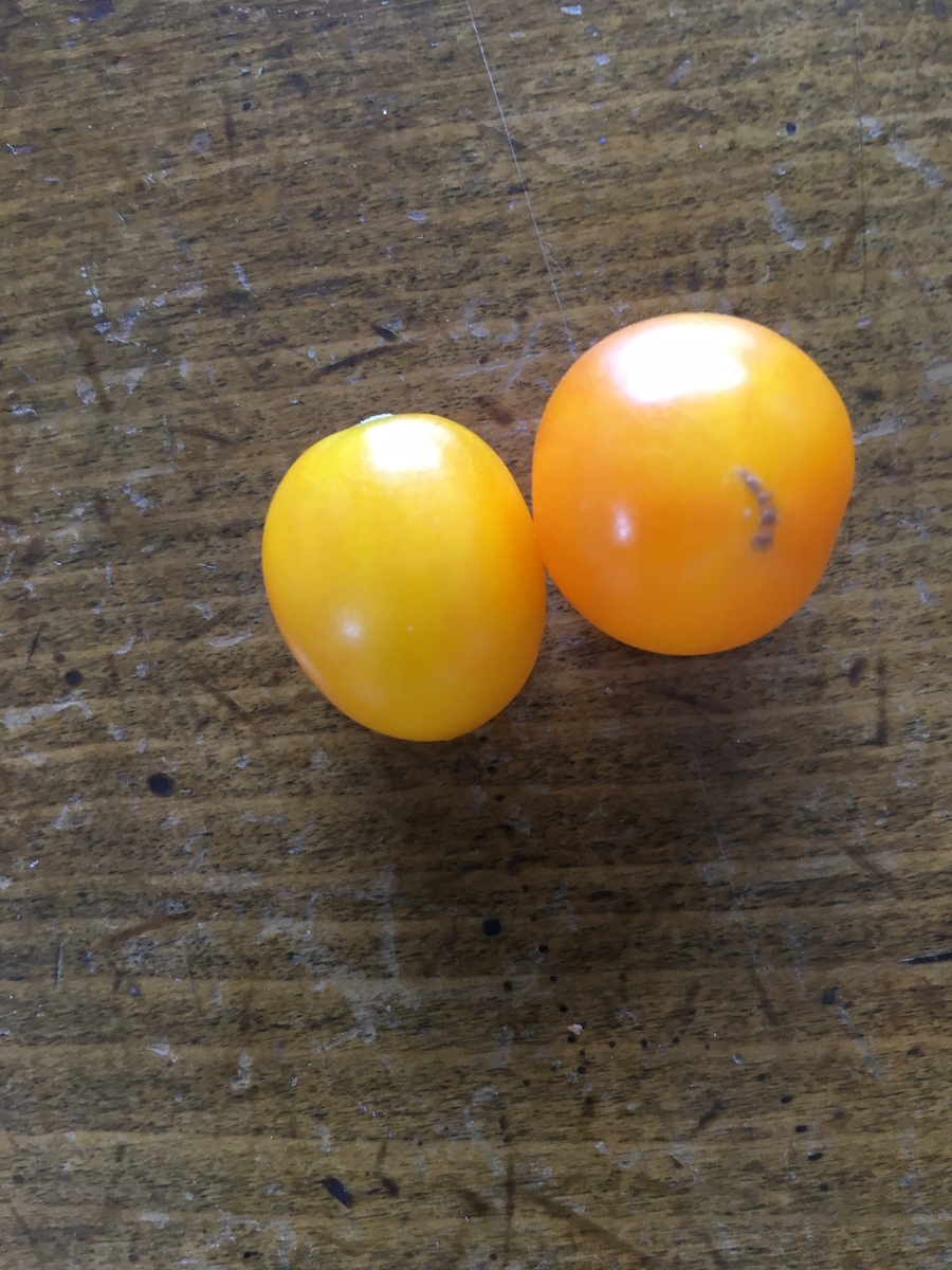 f:id:tomatotopan:20190923151148j:plain f:id:tomatotopan:20190923151148j:plain