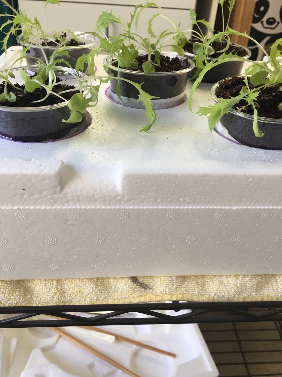 f:id:tomatotopan:20190923152504j:plain f:id:tomatotopan:20190923152504j:plain