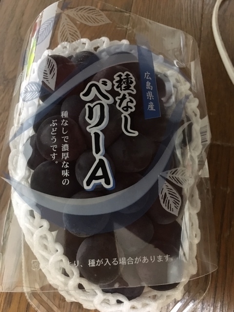 f:id:tomatotopan:20191004205300j:plain