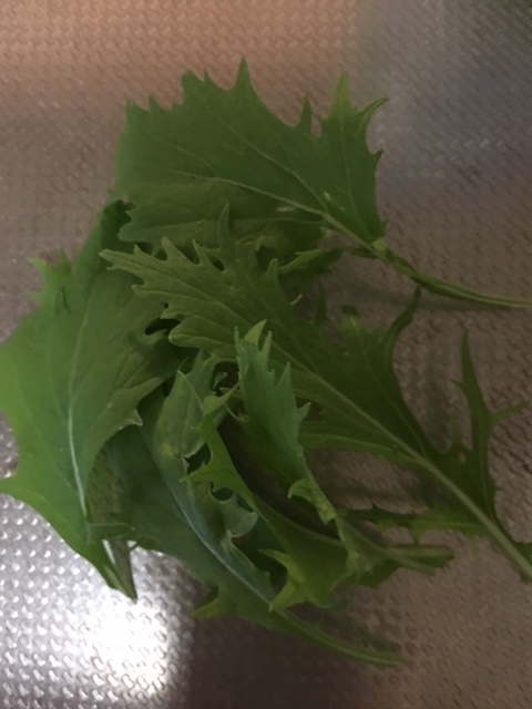 f:id:tomatotopan:20191007203146j:plain