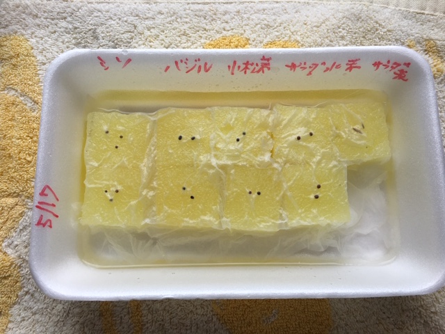 f:id:tomatotopan:20200517210613j:plain