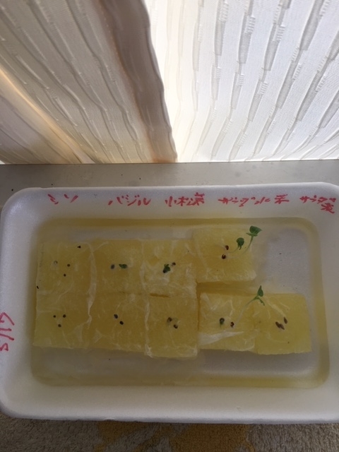 f:id:tomatotopan:20200522152324j:plain