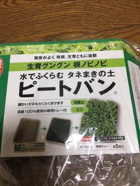f:id:tomatotopan:20200620211106j:plain