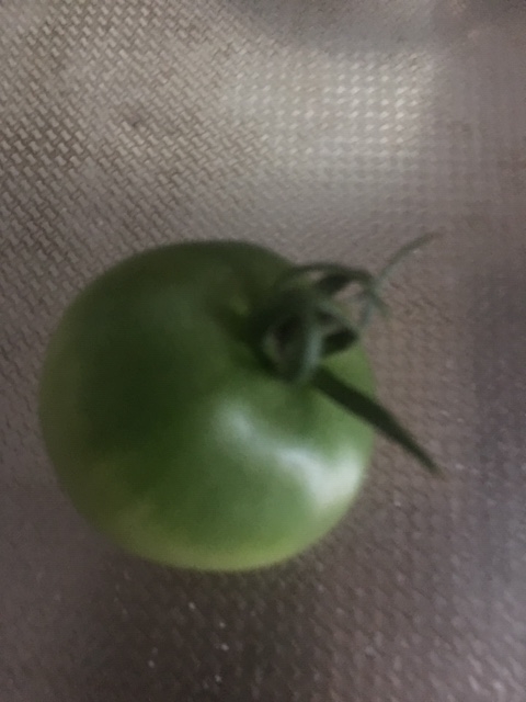 f:id:tomatotopan:20200715185047j:plain