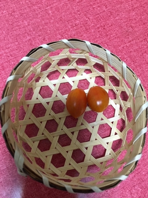 f:id:tomatotopan:20200820181948j:plain