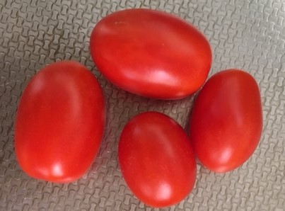 f:id:tomatotopan:20200903150006j:plain