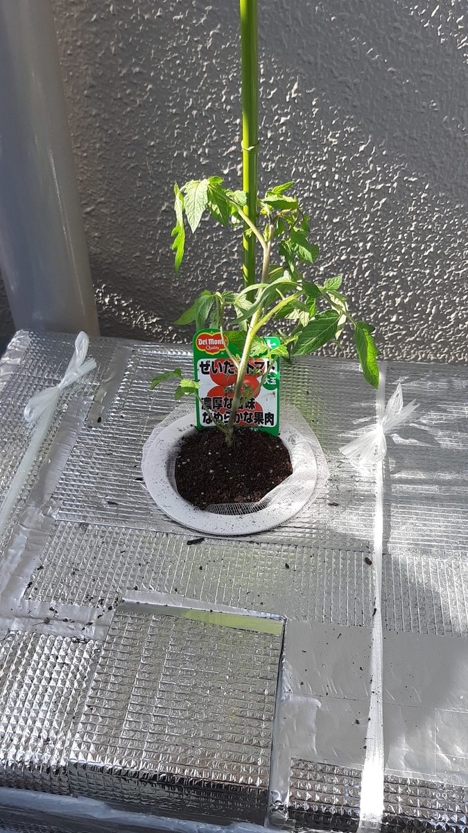 f:id:tomatotopan:20210411205808j:plain