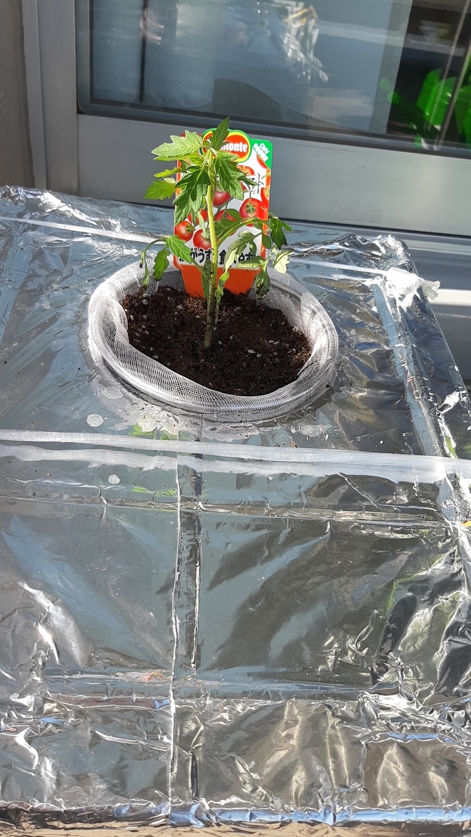 f:id:tomatotopan:20210411210020j:plain