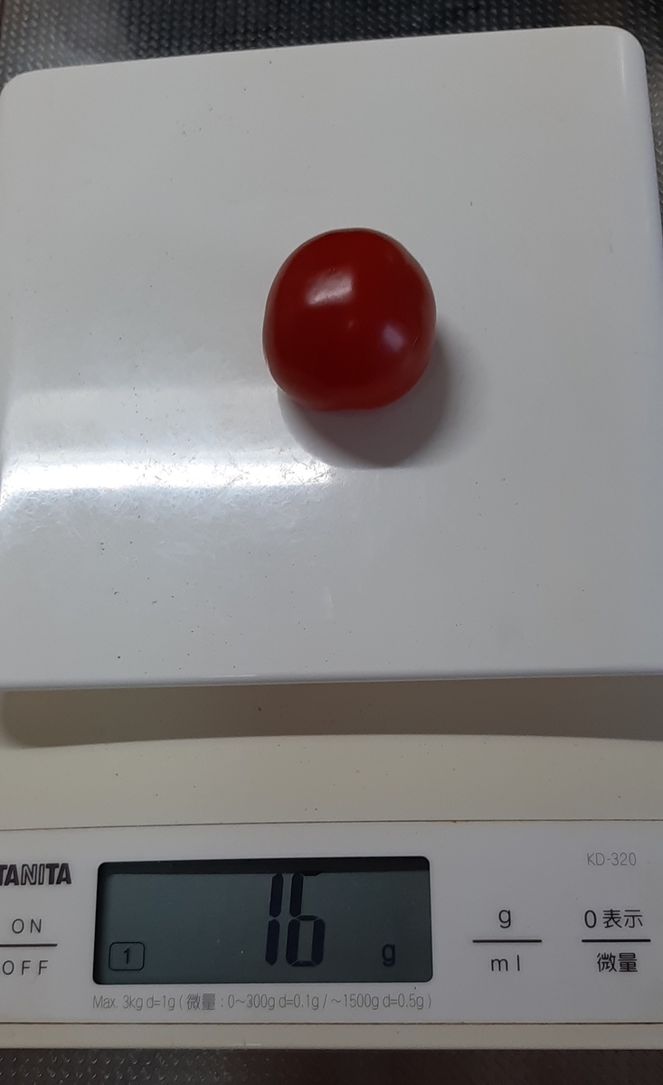 f:id:tomatotopan:20210620133908j:plain