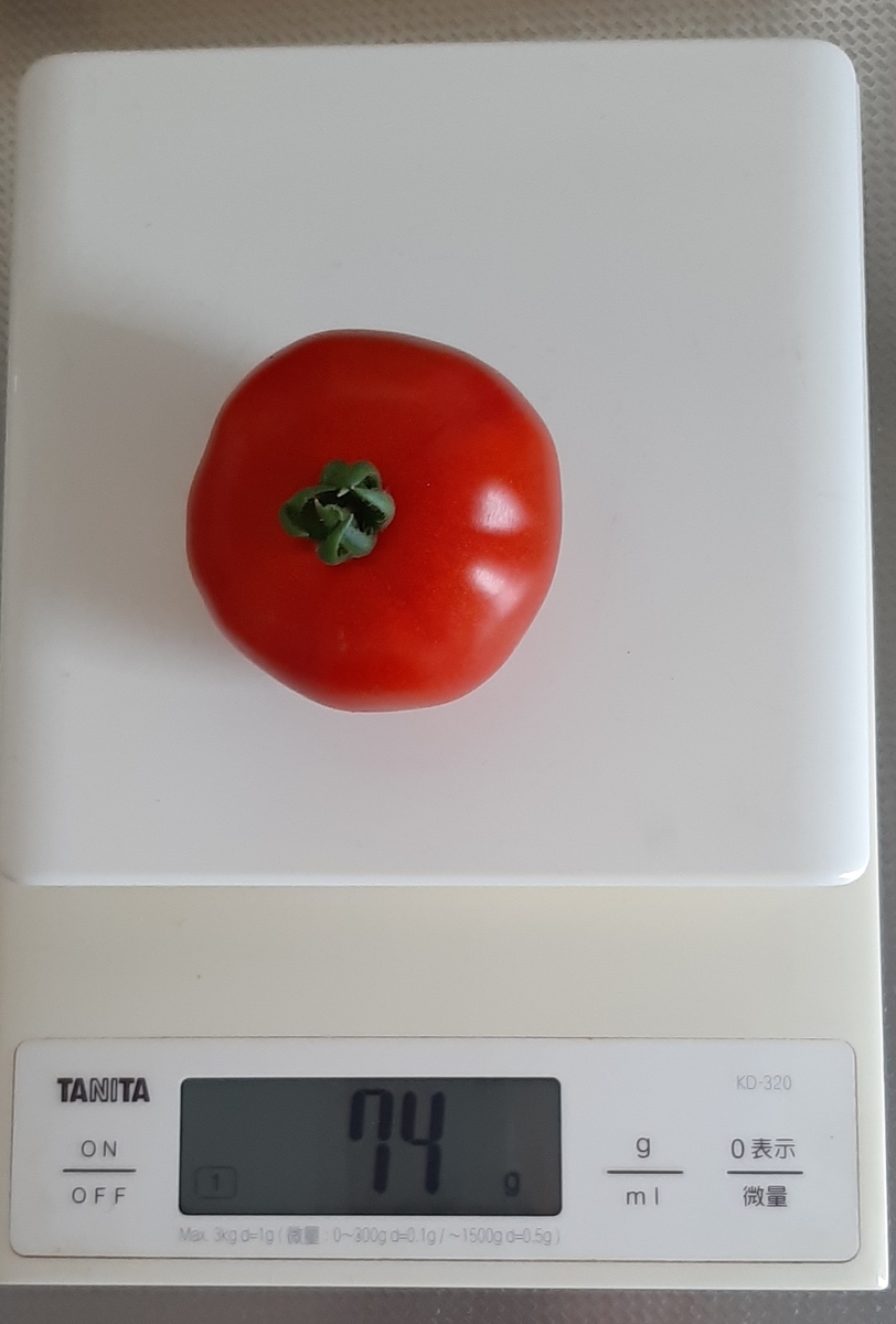 f:id:tomatotopan:20210623093458j:plain