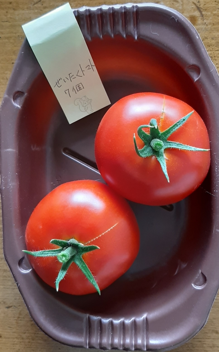 f:id:tomatotopan:20210712104632j:plain