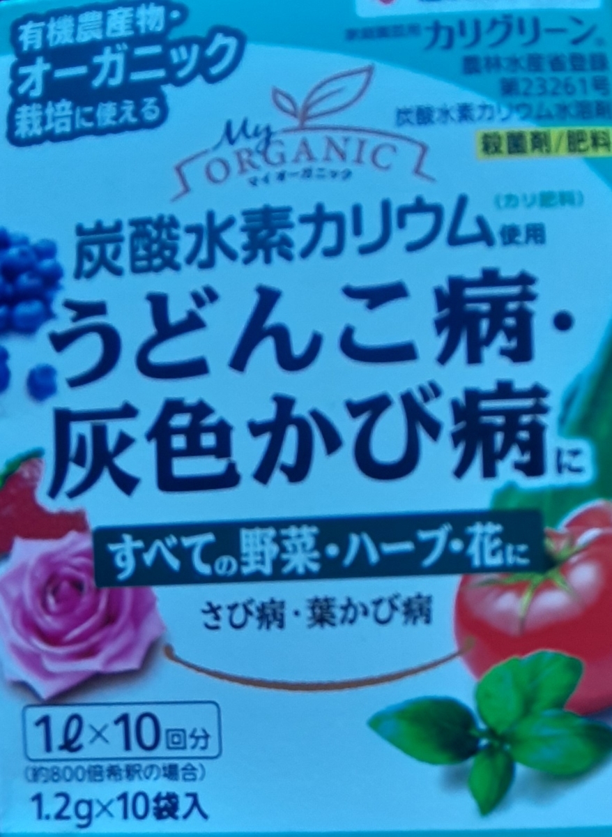 f:id:tomatotopan:20210721170700j:plain