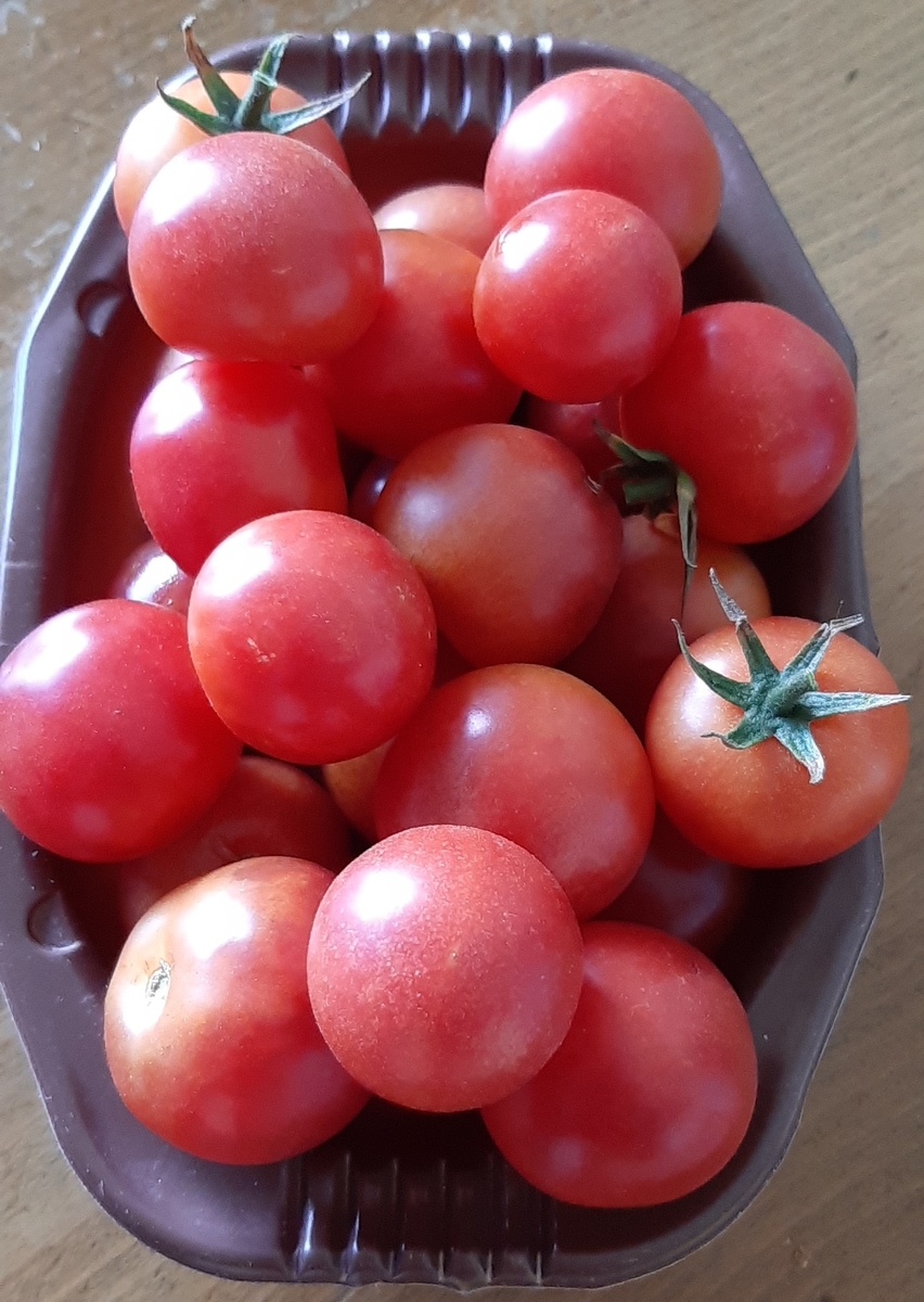 f:id:tomatotopan:20210804220742j:plain