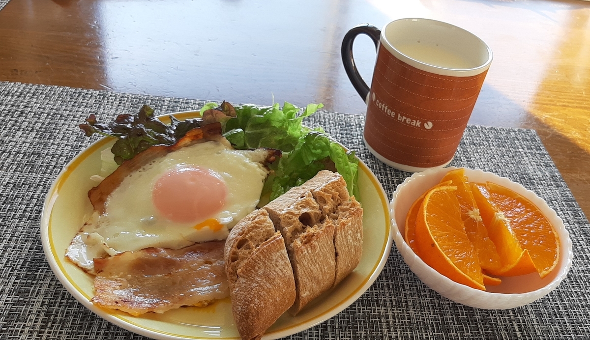 f:id:tomatotopan:20220211205819j:plain