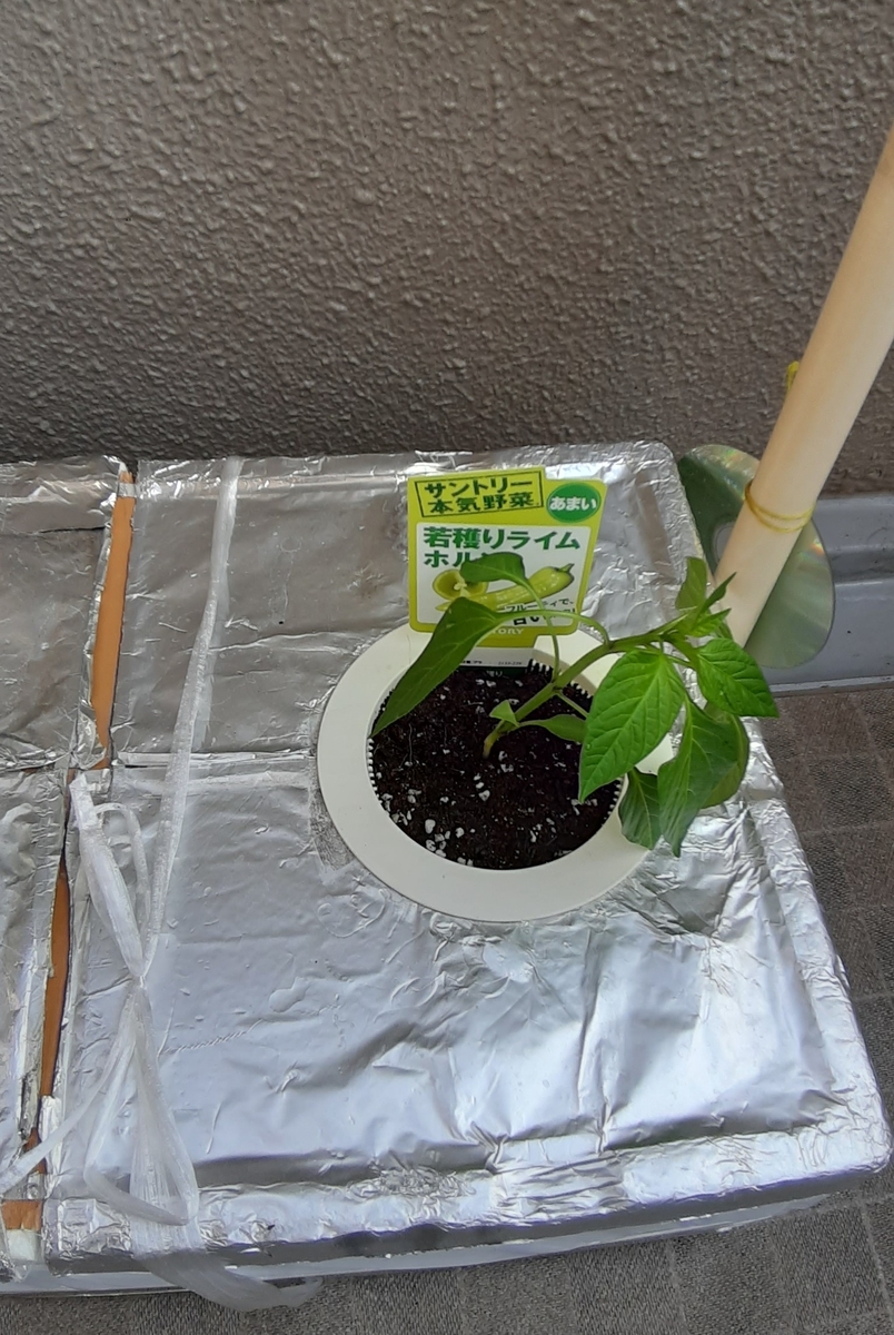 f:id:tomatotopan:20220411141055j:plain