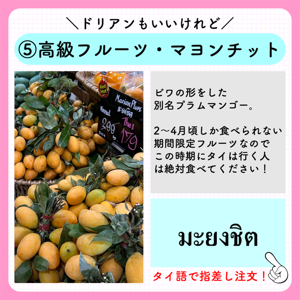 f:id:tomatsu1024:20230501012627p:image