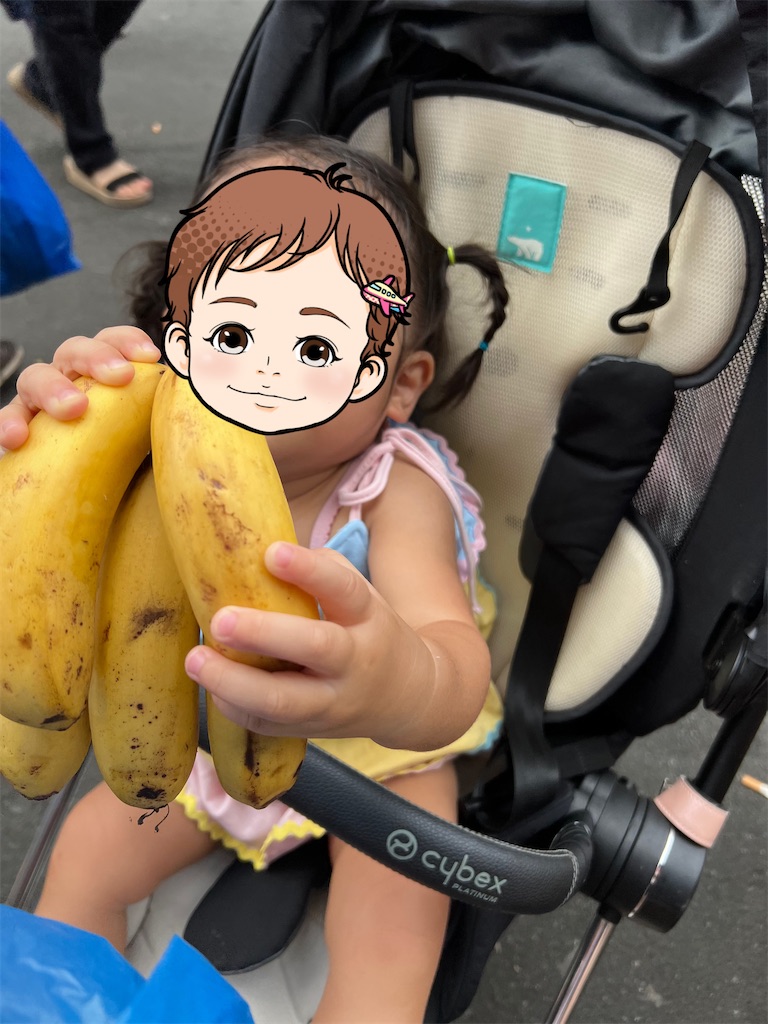 f:id:tomatsu1024:20240824175538j:image