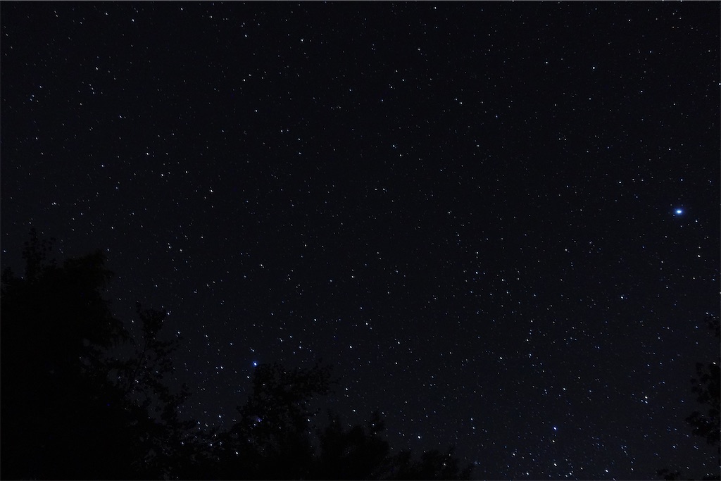 f:id:tomatsu1024:20241118001311j:image