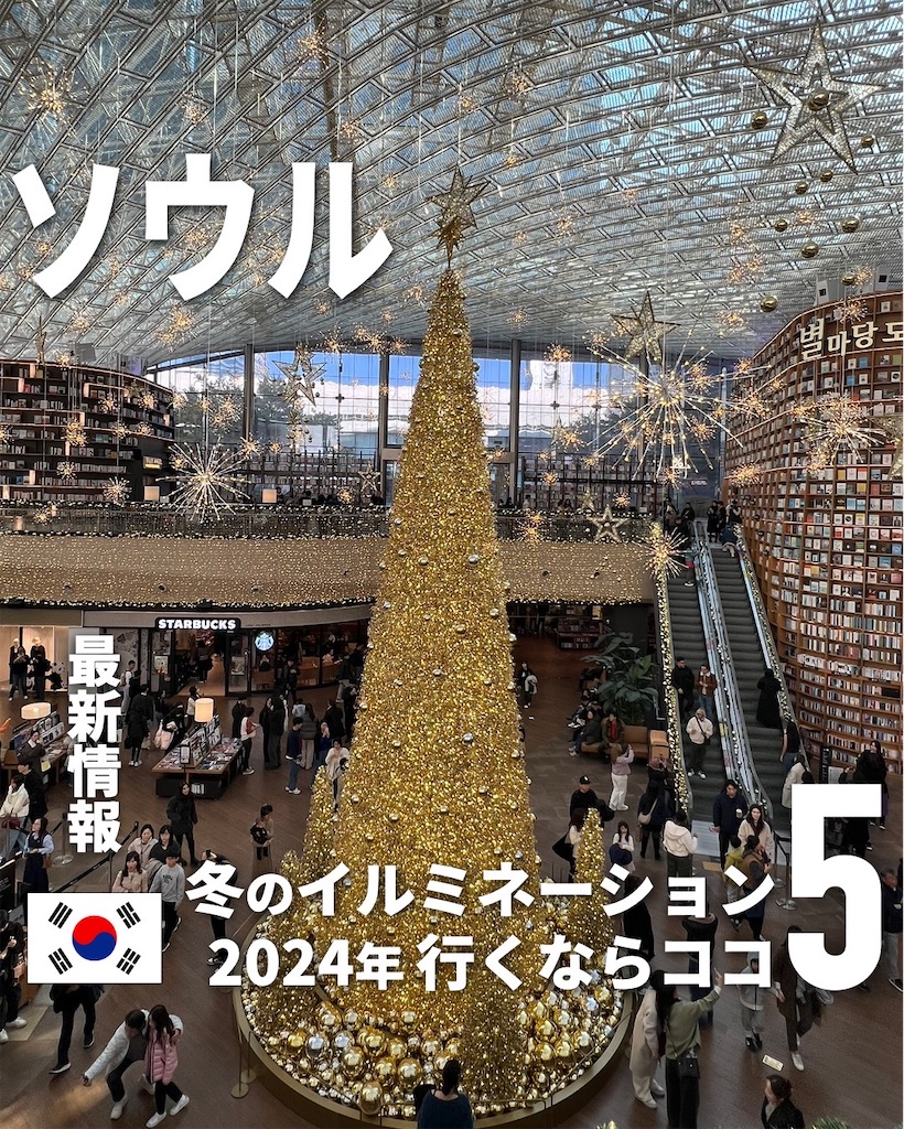 f:id:tomatsu1024:20241128011359j:image