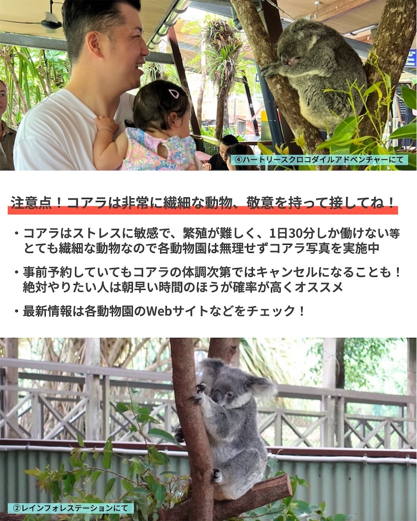f:id:tomatsu1024:20250304234856j:image
