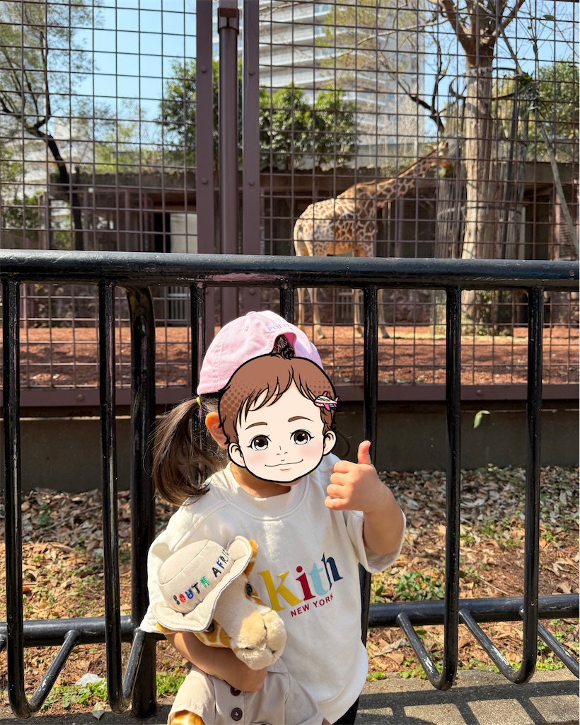 f:id:tomatsu1024:20250324003305j:image