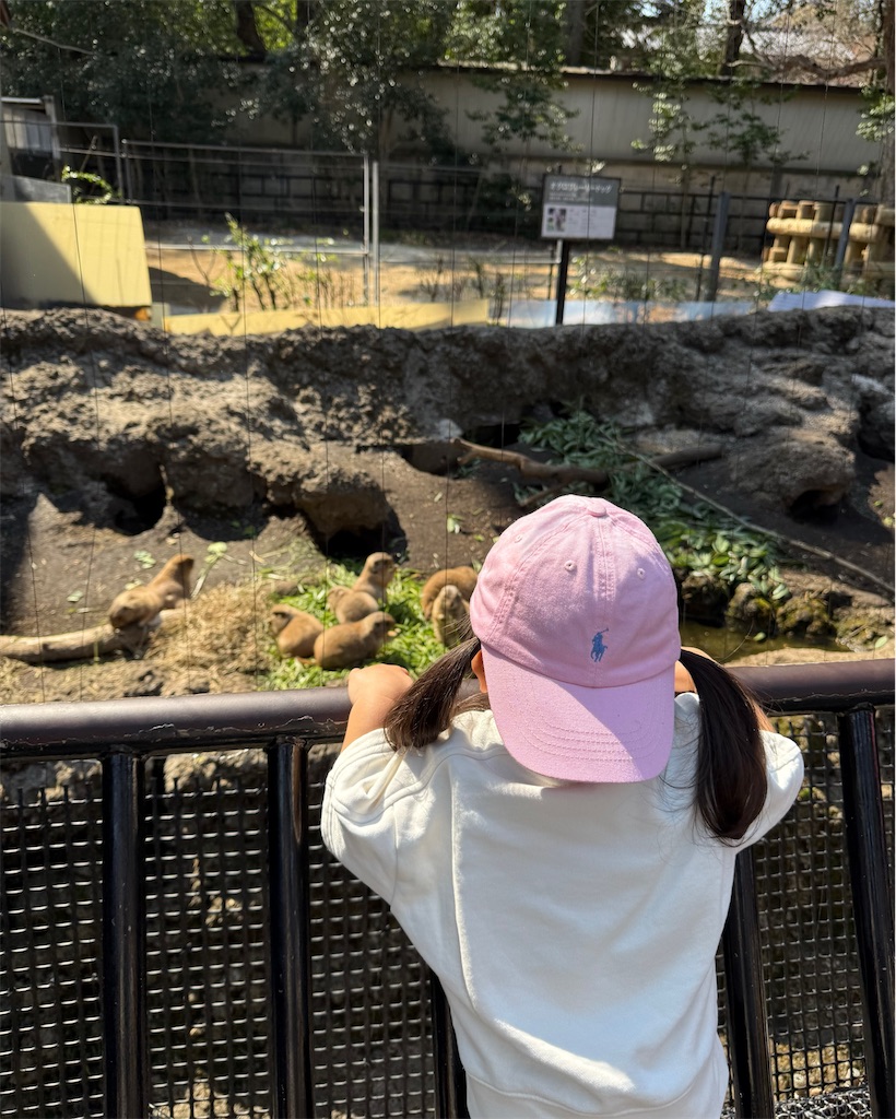 f:id:tomatsu1024:20250324003325j:image