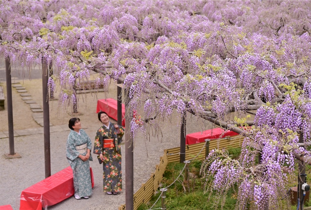 f:id:tomatsu1024:20250419121640j:image