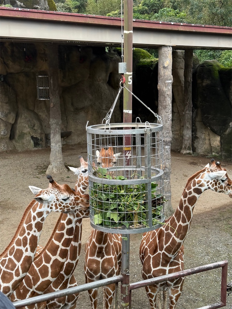f:id:tomatsu1024:20251229190826j:image f:id:tomatsu1024:20251229190826j:image