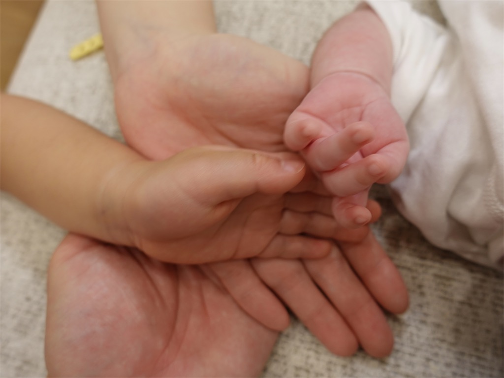 f:id:tomatsu1024:20260331134817j:image