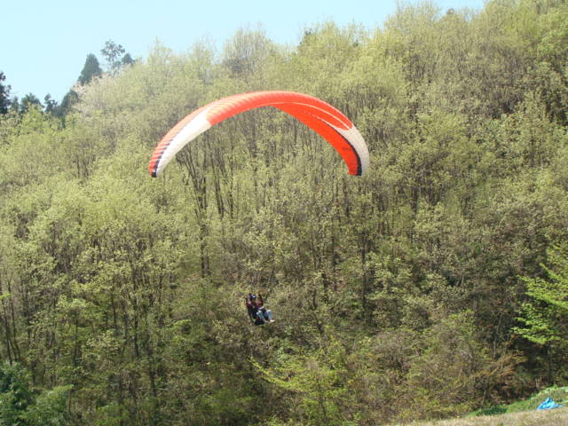 [パラグライダー][群馬][妙義][Paraglider][Japan]