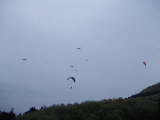 [パラグライダー][群馬][妙義][Paraglider][Japan]