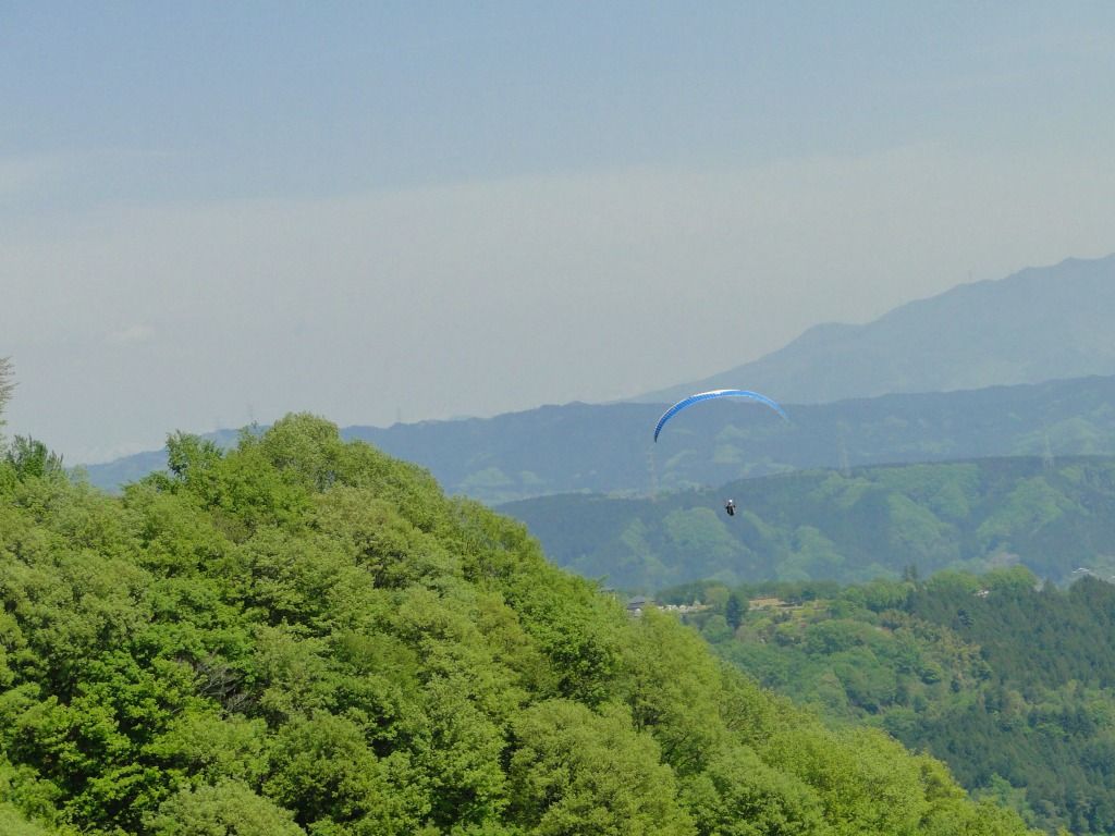 [パラグライダー][群馬][妙義][妙義感謝デー][Paraglider][Miyougi][Japan]