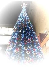 f:id:tombouze:20061231170339j:image f:id:tombouze:20061231170339j:image