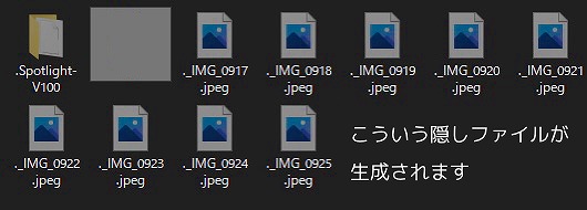 f:id:tombownomegane:20211027204302j:plain