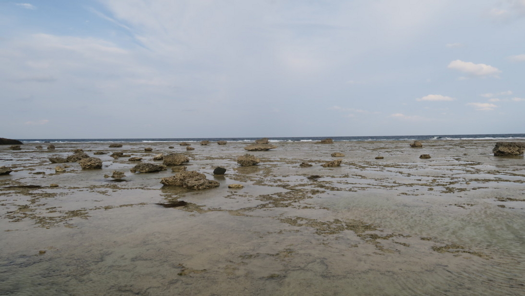 f:id:tomekichisfc:20180522193107j:plain