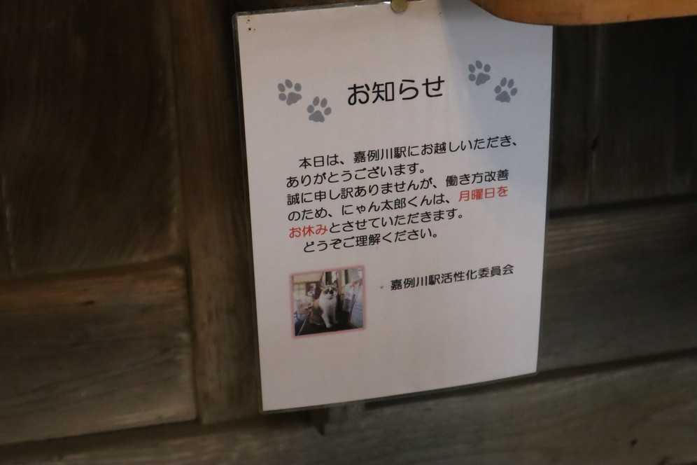 f:id:tomekichisfc:20190622190818j:plain f:id:tomekichisfc:20190622190818j:plain