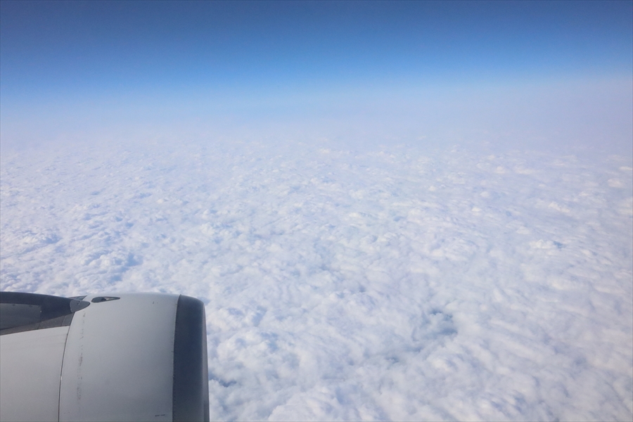 f:id:tomekichisfc:20200604090514j:plain f:id:tomekichisfc:20200604090514j:plain