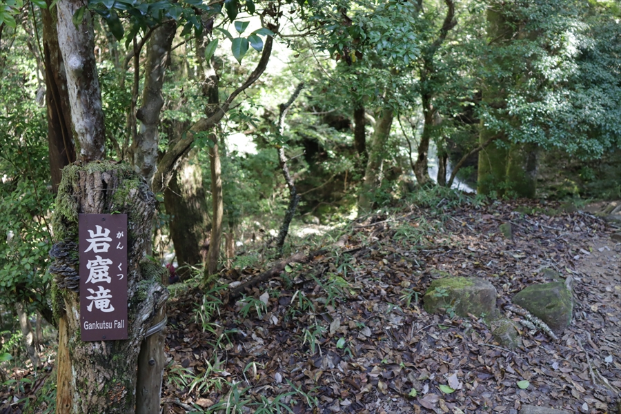 f:id:tomekichisfc:20201205202733j:plain