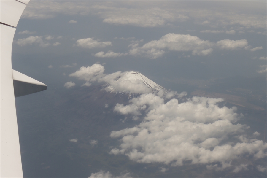 f:id:tomekichisfc:20210629153457j:plain