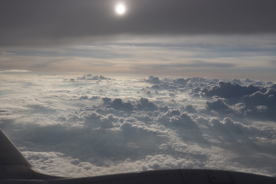 f:id:tomekichisfc:20210629155245j:plain