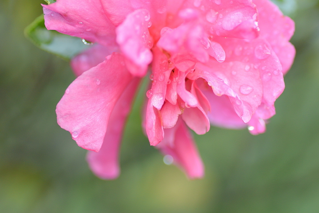 f:id:tomhoo:20171031083723j:plain