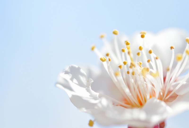 f:id:tomhoo:20180310203202j:plain f:id:tomhoo:20180310203202j:plain