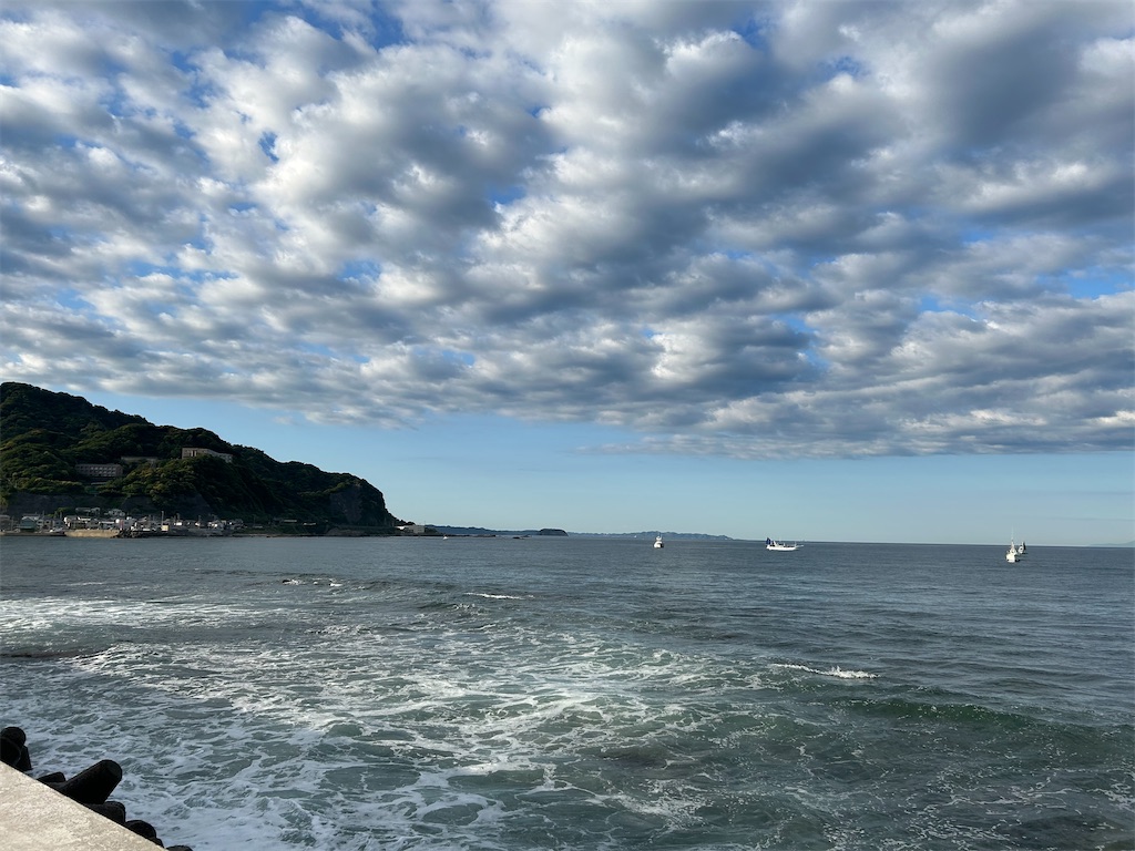 f:id:tomi-leon:20260530201802j:image