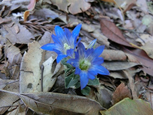 Cimg0423_3 Cimg0423_3