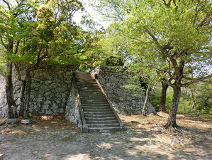 Cimg0439 Cimg0439