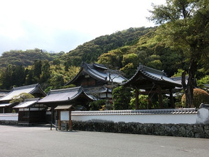 Cimg0527 Cimg0527