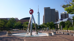 Dsc_1096