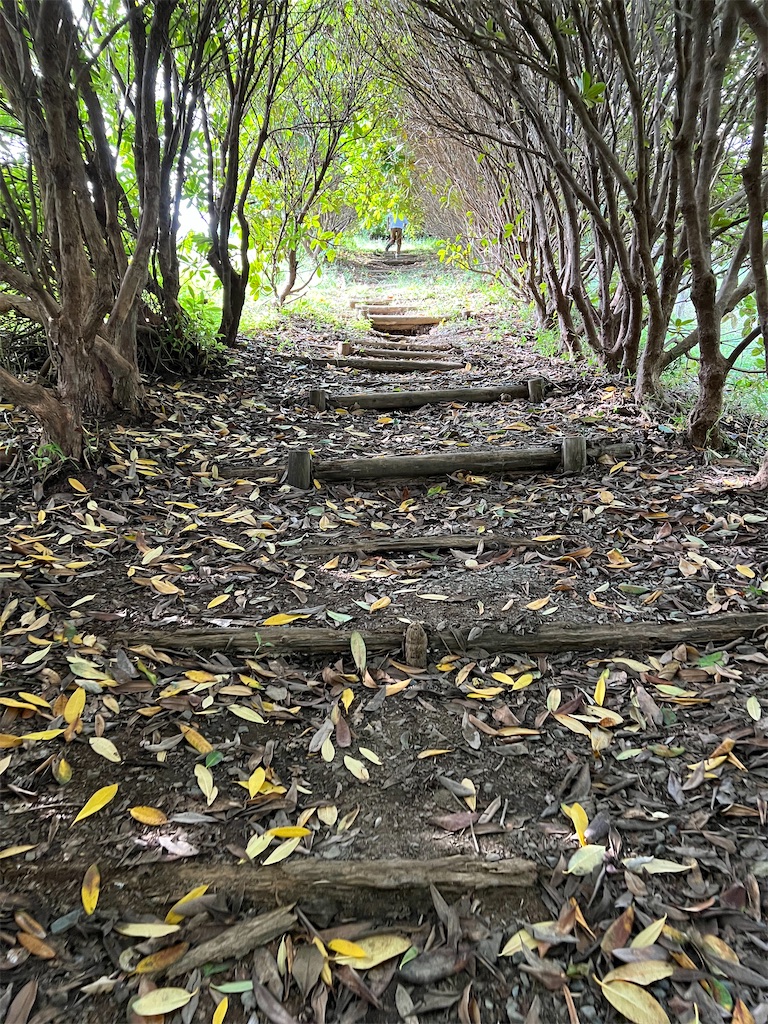 f:id:tomi1415:20221022173003j:image