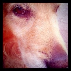 f:id:tomi_kun:20110721082818j:image